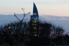 MG_2232