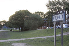 13Colonia_MG_4765