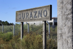 16Durazno_MG_4818
