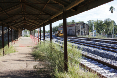 16Durazno_MG_4823