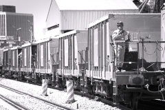 MG_2012-2